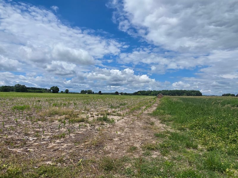 2116 8th St, Cumberland, WI 54829