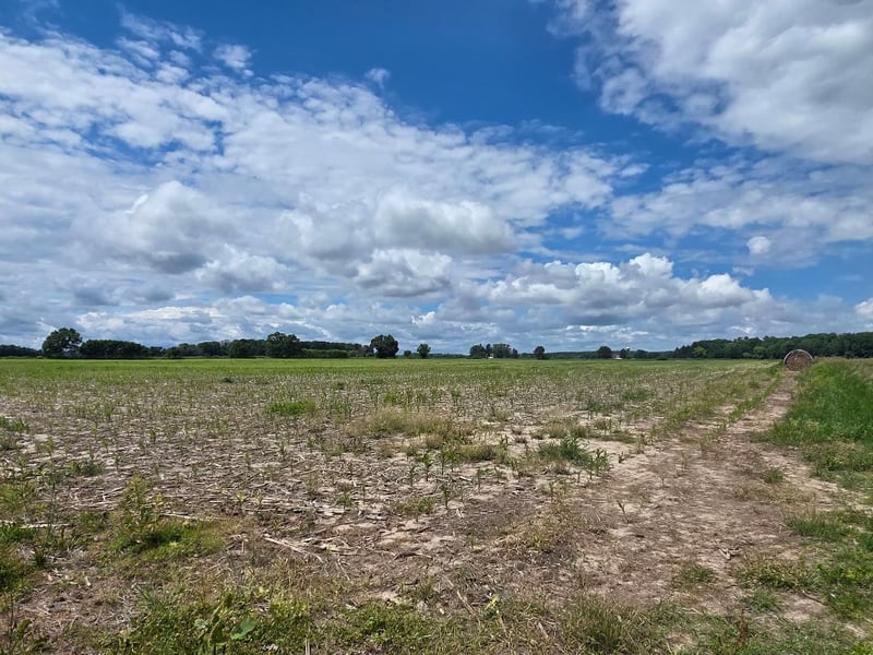 2116 8th St, Cumberland, WI 54829