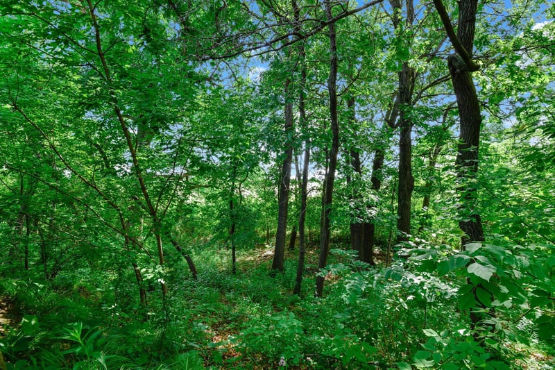 562 Deer Ridge Ln S, Maplewood, MN 55119