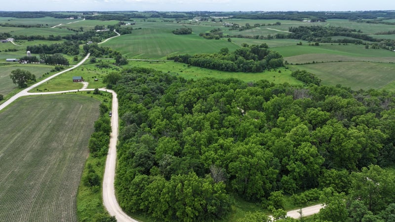 TBD Cardinal Ln, Mabel, MN 55954