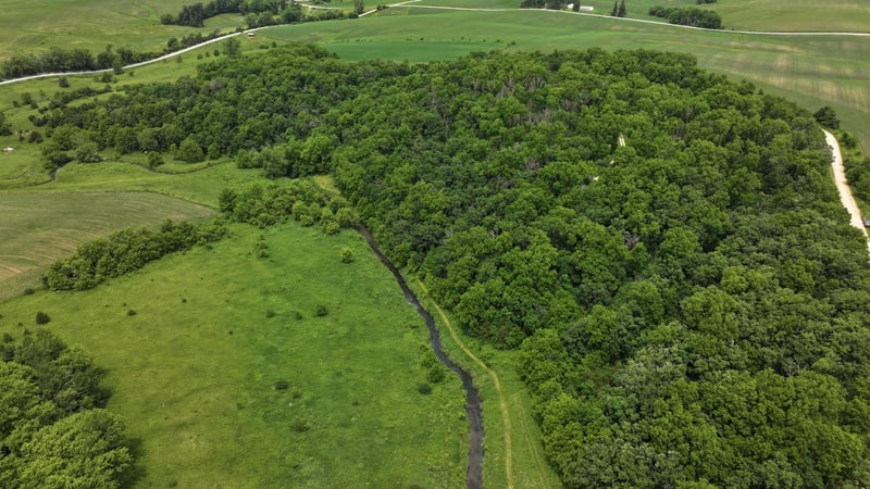 TBD Cardinal Ln, Mabel, MN 55954