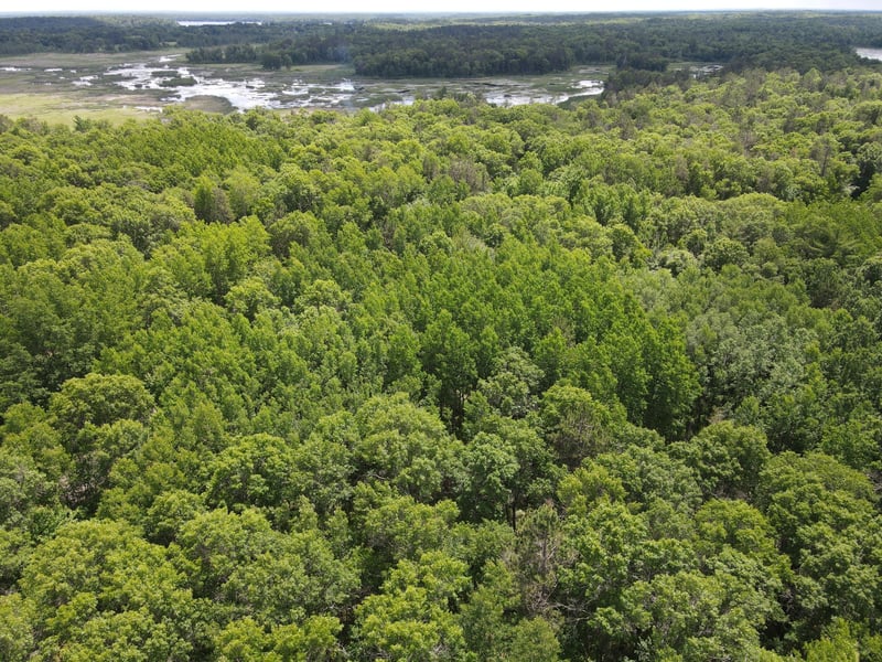 LOT 14 Loon Lake Rd, Danbury, WI 54830