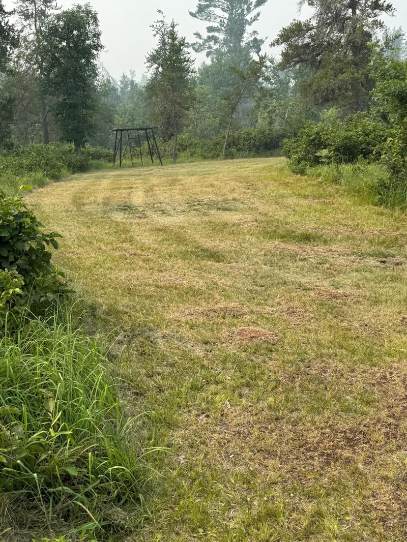 14387 S Mccumber Rd, Gordon, WI 54838