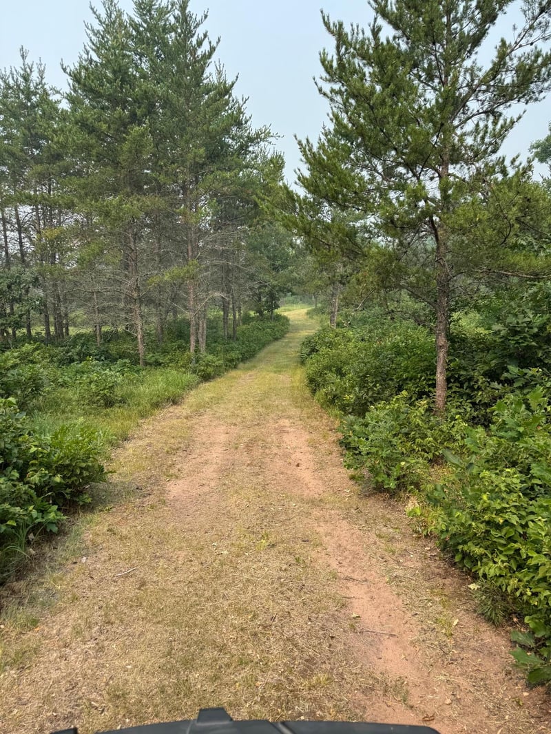 14387 S Mccumber Rd, Gordon, WI 54838