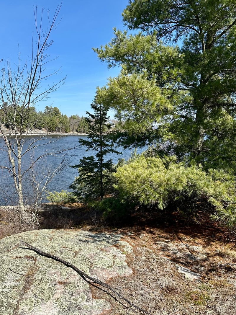 TBD Kabetogama Lake W, Kabetogama, MN 56669