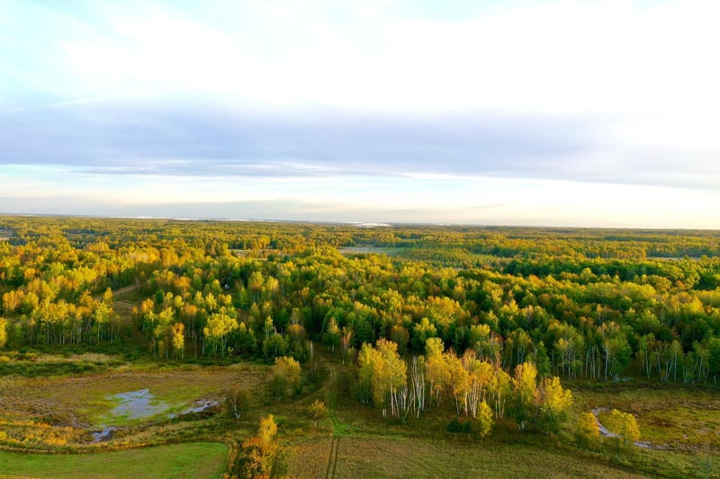 NA Dove Rd, Hinckley, MN 55037