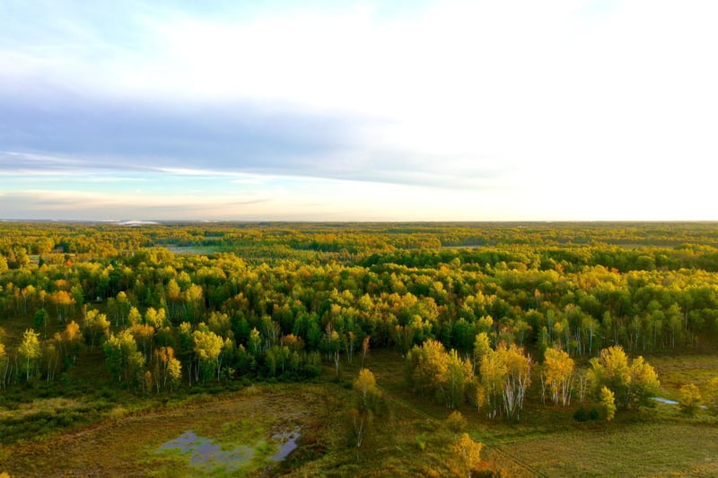 NA Dove Rd, Hinckley, MN 55037