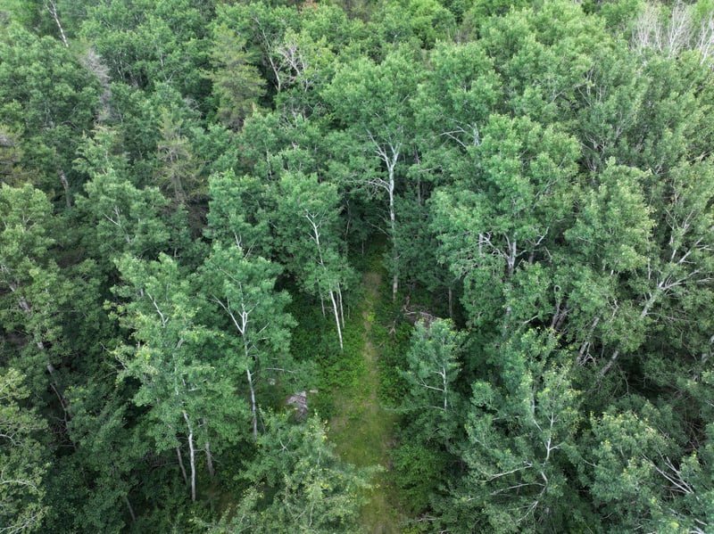 18704 370th St, Menahga, MN 56464