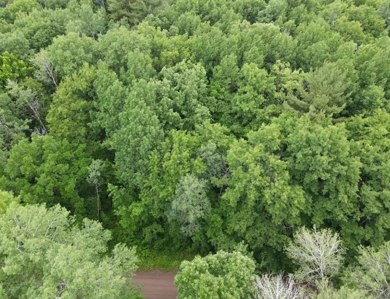 LOT 5 Wilderness Retreat, Pine City, MN 55063
