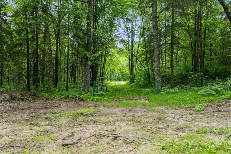 TBD Pierson Dr, Pequot Lakes, MN 56472