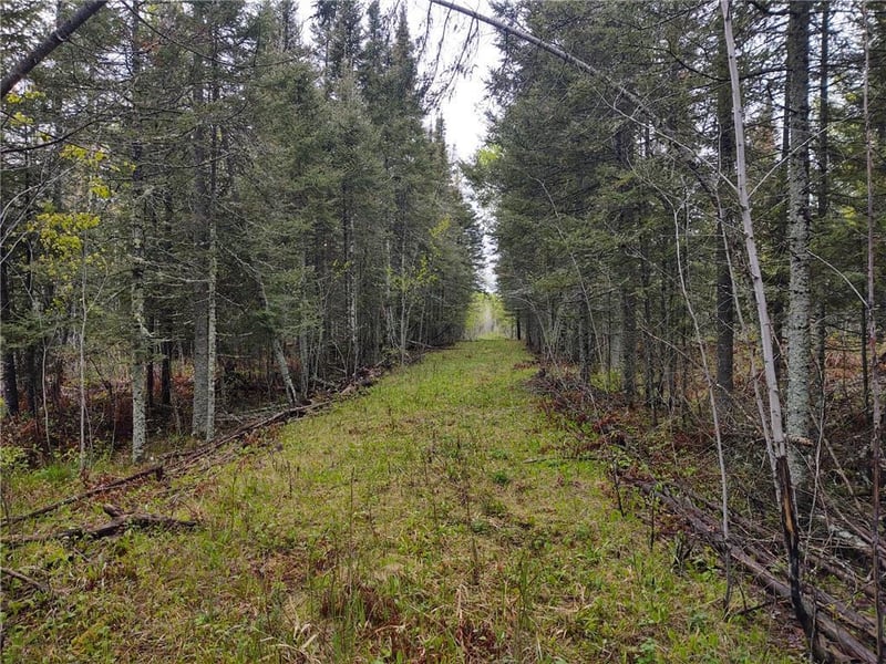 TBD Vermilion Trl, Makinen, MN 55763