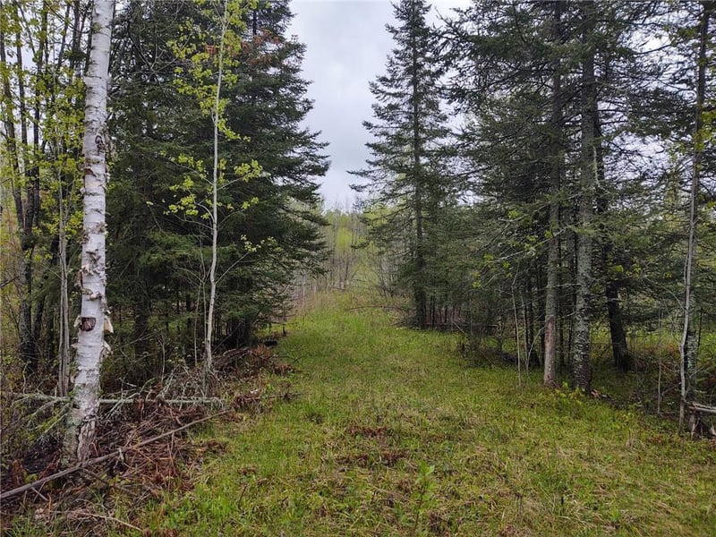 TBD Vermilion Trl, Makinen, MN 55763