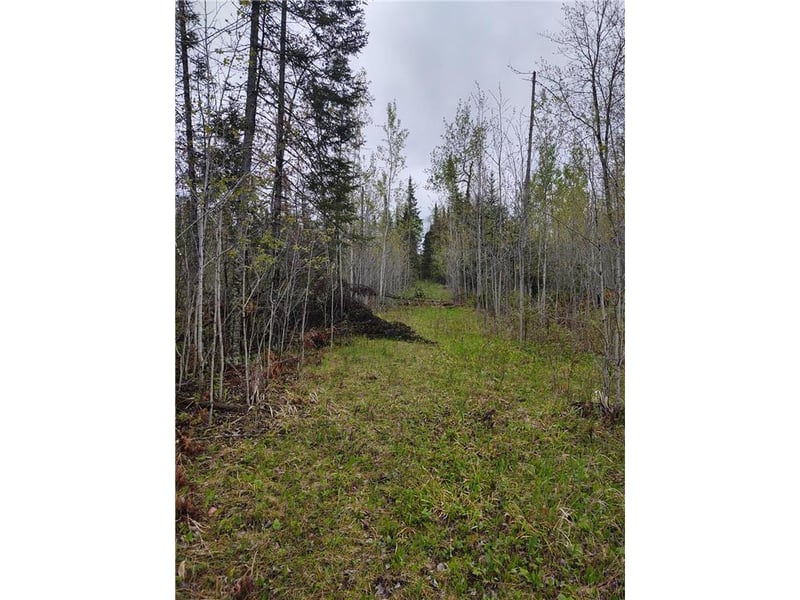 TBD Vermilion Trl, Makinen, MN 55763