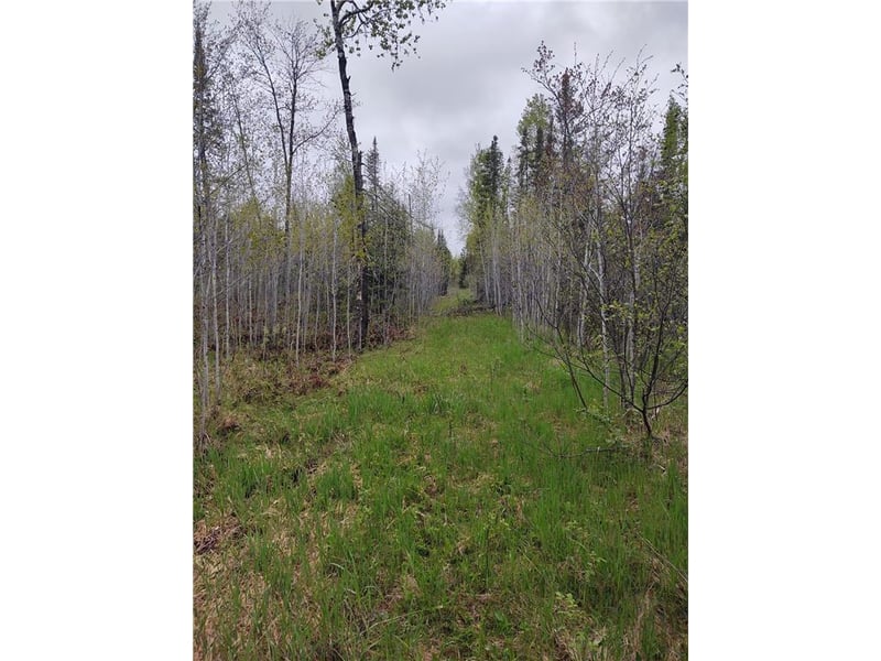 TBD Vermilion Trl, Makinen, MN 55763