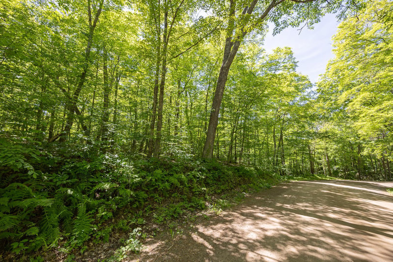 TBD Island View Dr NE, Longville, MN 56655