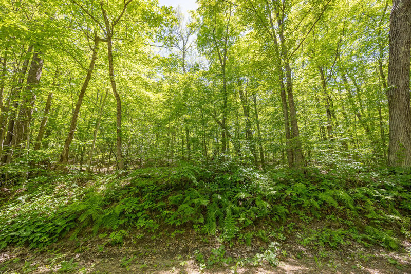 TBD Island View Dr NE, Longville, MN 56655