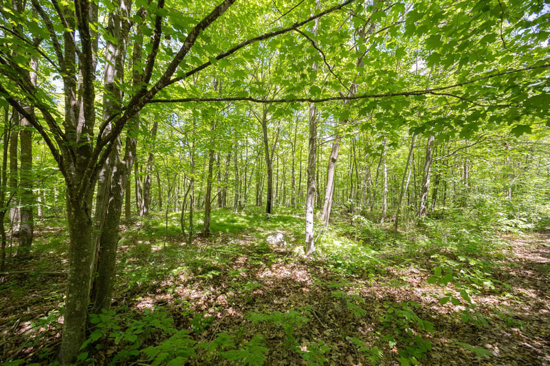 TBD Island View Dr NE, Longville, MN 56655
