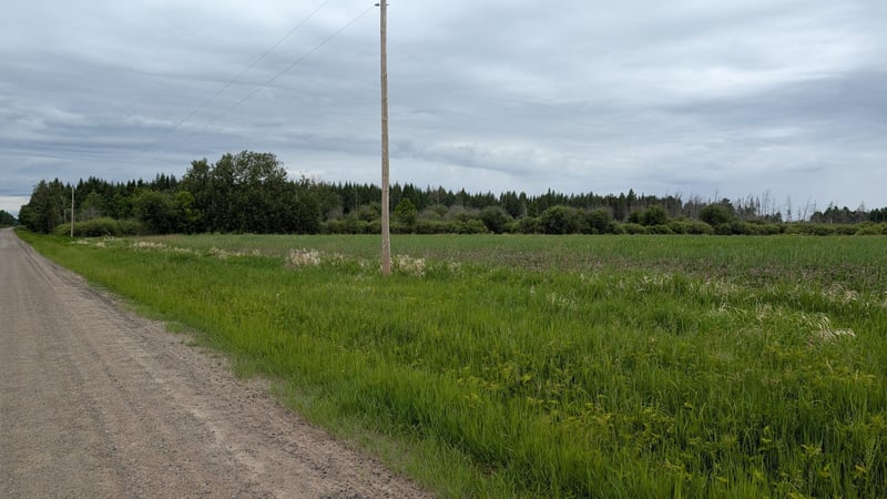 10211 Leander Rd, Angora, MN 55703