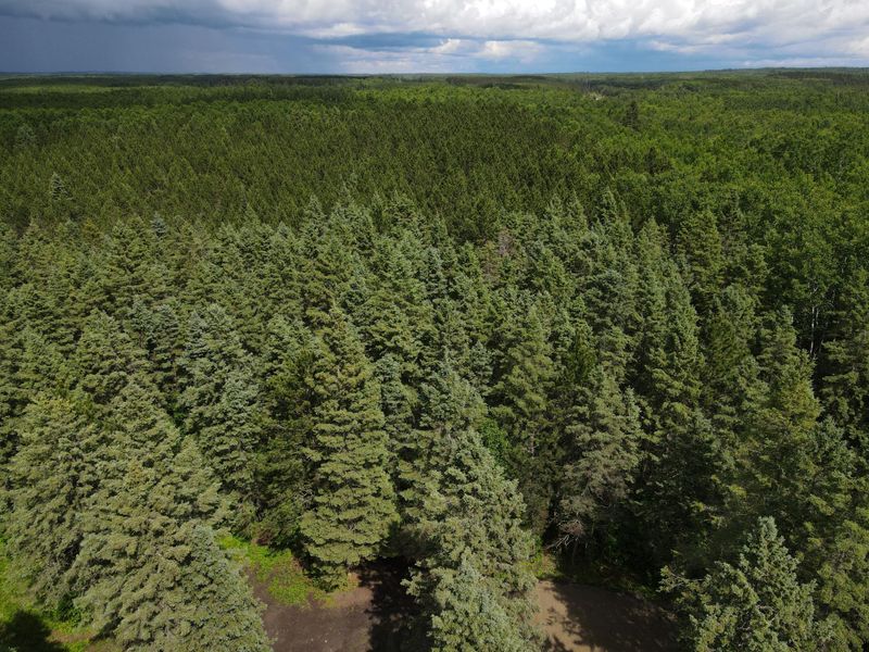 64636 County Road 235, Effie, MN 56639