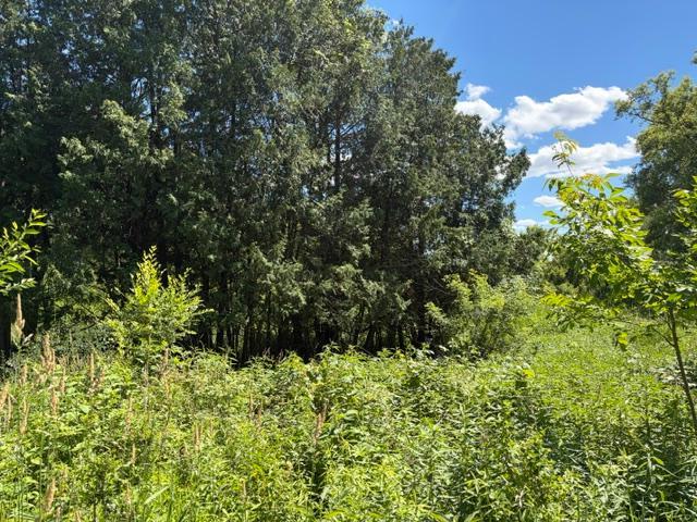 2835 Hadley Valley Rd NE, Rochester, MN 55906