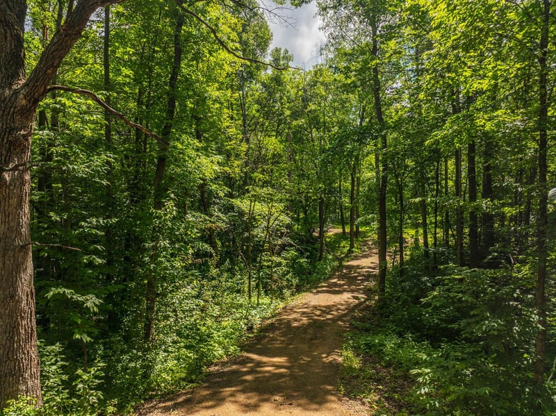 22985 Bass Lake Rd, Osage, MN 56570