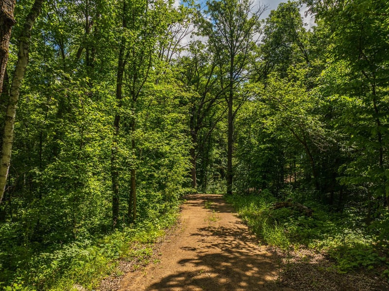 22985 Bass Lake Rd, Osage, MN 56570