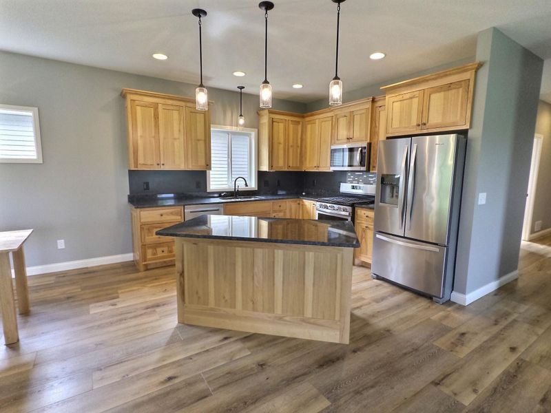 441 Pintail Cir, Annandale, MN 55302