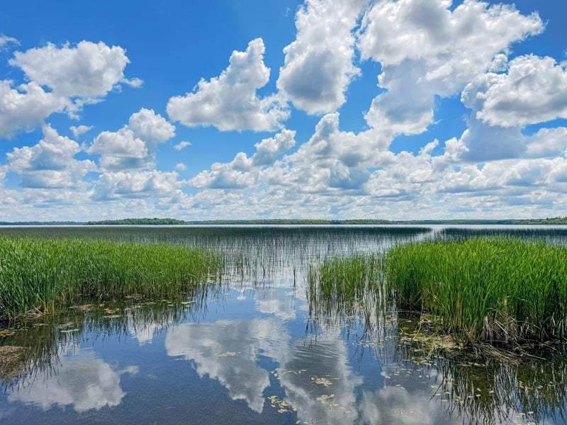 16442 N Blackduck Lake Rd NE, Hines, MN 56647
