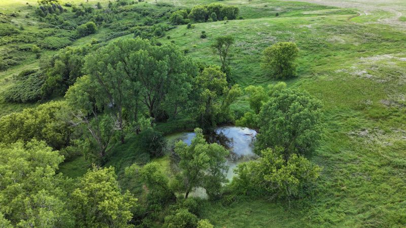 TBD Dunn Rd, Caledonia, MN 55921