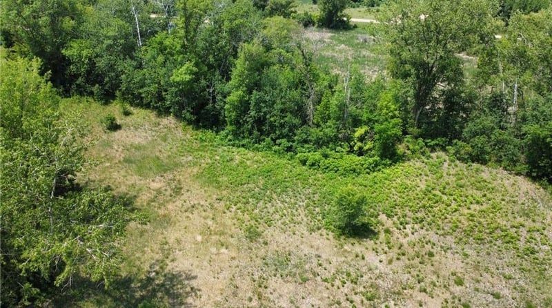 - Lot 4 Block 4, New London, MN 56273