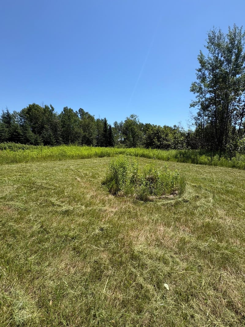 70453 Kingsdale Rd, Sandstone, MN 55072