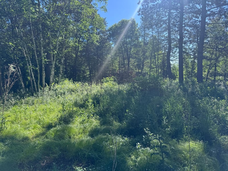 TBD Franklin Ave, Park Rapids, MN 56470