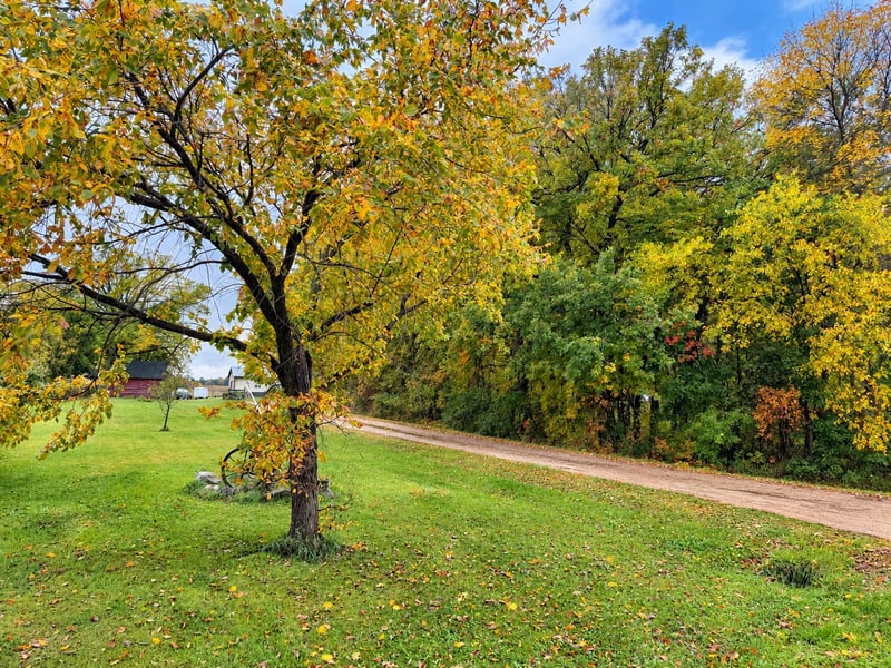 51374 330th St, New York Mills, MN 56567
