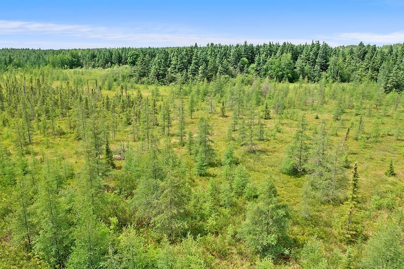 TBD 370th Ln, Mcgregor, MN 55760