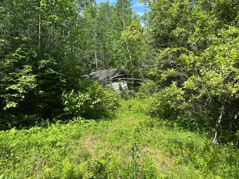 11703 Jacobs Rd, Orr, MN 55771