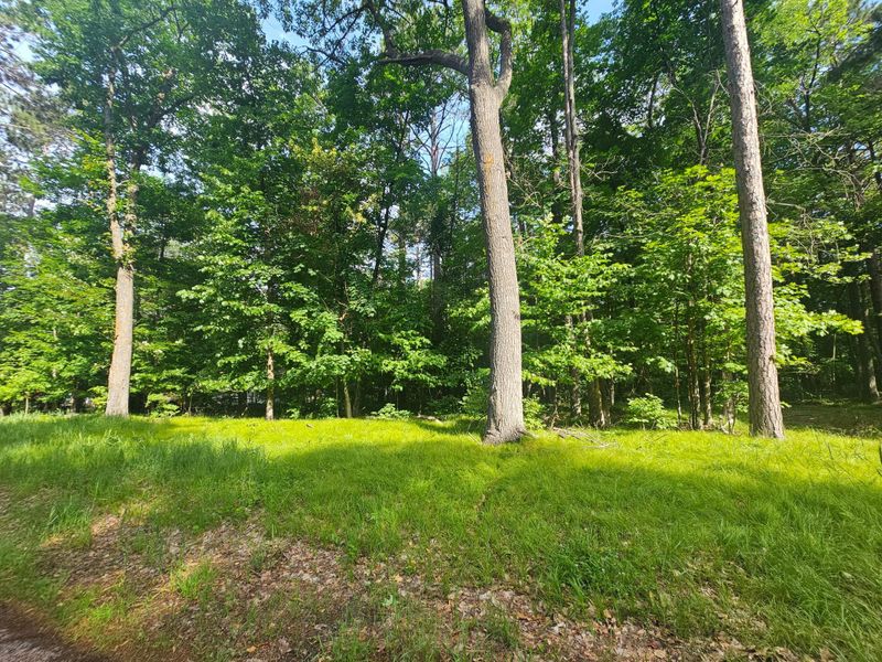 TBD Whitefish Ave, Cross Lake, MN 56442