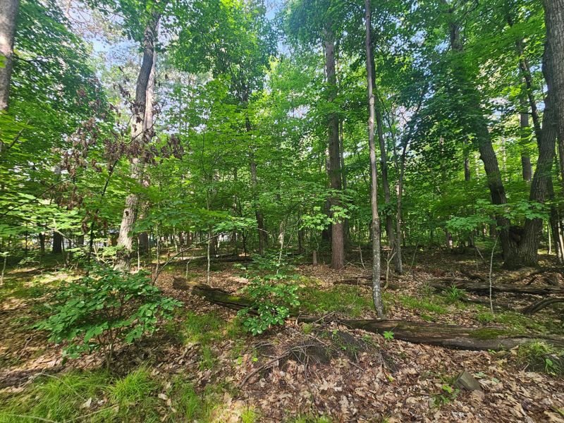 TBD Whitefish Ave, Cross Lake, MN 56442