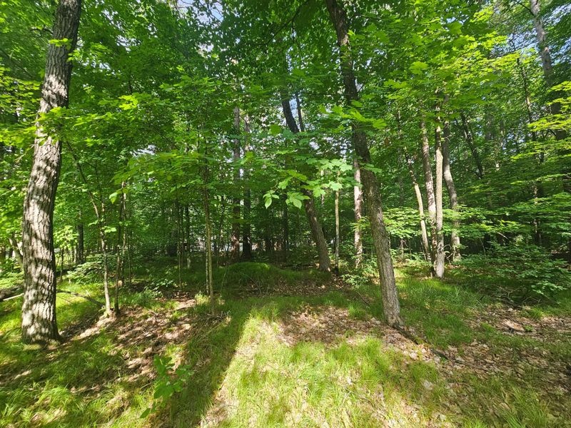 TBD Whitefish Ave, Cross Lake, MN 56442
