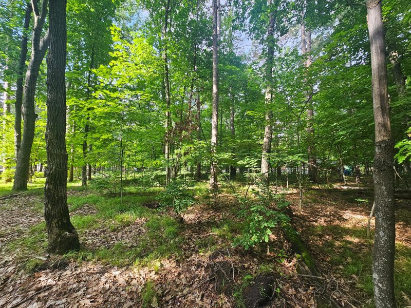 TBD Whitefish Ave, Cross Lake, MN 56442