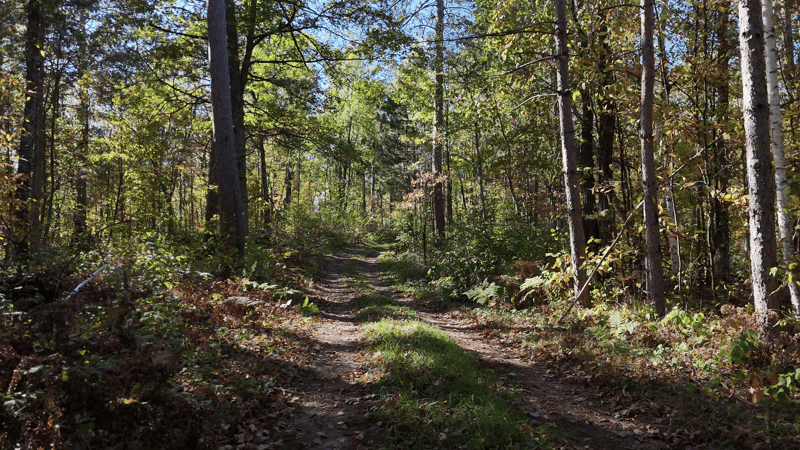 TBD CC Mann Rd, Spooner, WI 54801