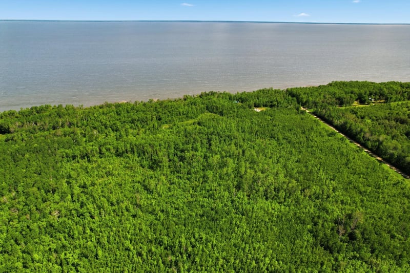 TBD Sandberg Rd NE, Kelliher, MN 56650