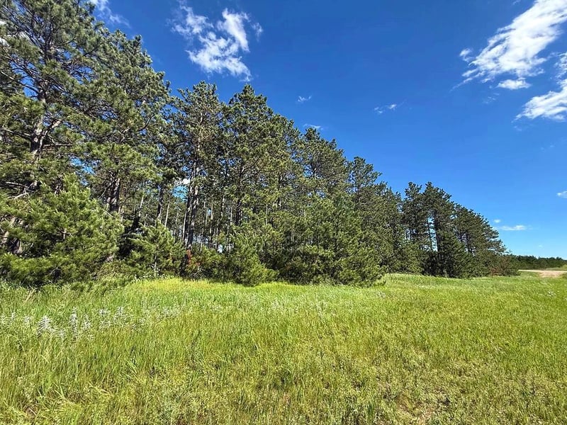 TBD County 48, Park Rapids, MN 56470