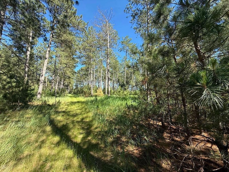 TBD County 48, Park Rapids, MN 56470