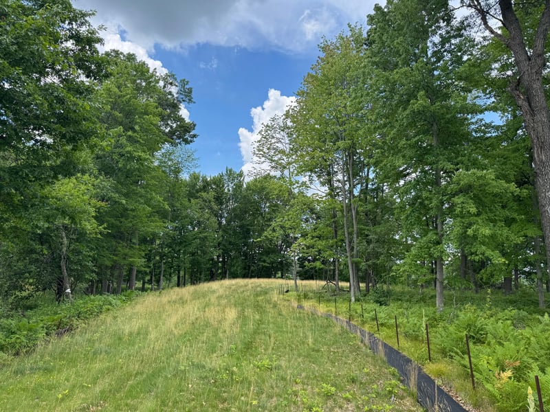 355 176th Ln NE, Ham Lake, MN 55304