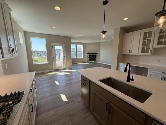 19532 102nd Pl, Corcoran, MN 55374