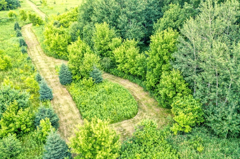 TBD 555th St, Rush City, MN 55069