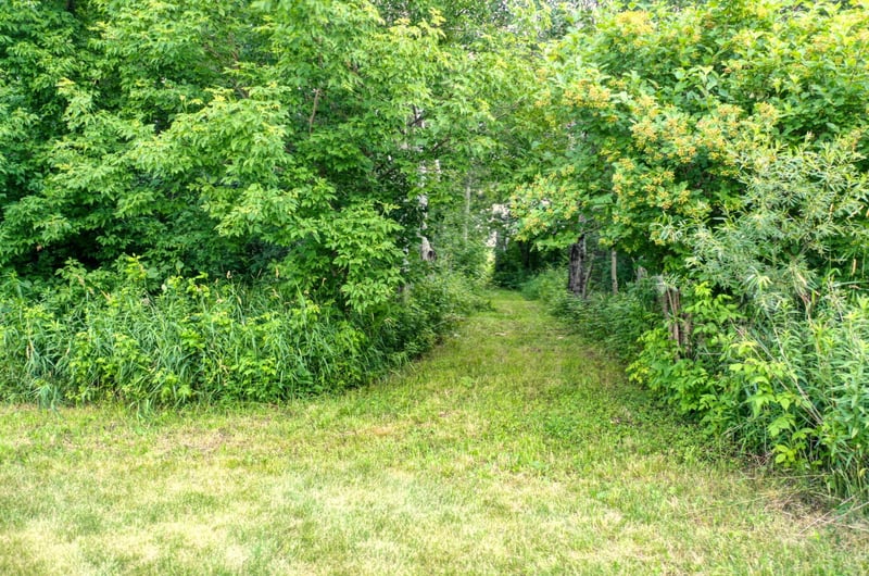 TBD 555th St, Rush City, MN 55069