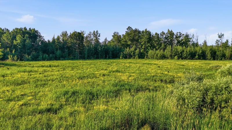 TBD Florence Dr, Moose Lake, MN 55767