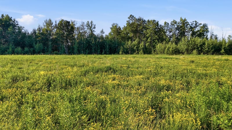 TBD Florence Dr, Moose Lake, MN 55767