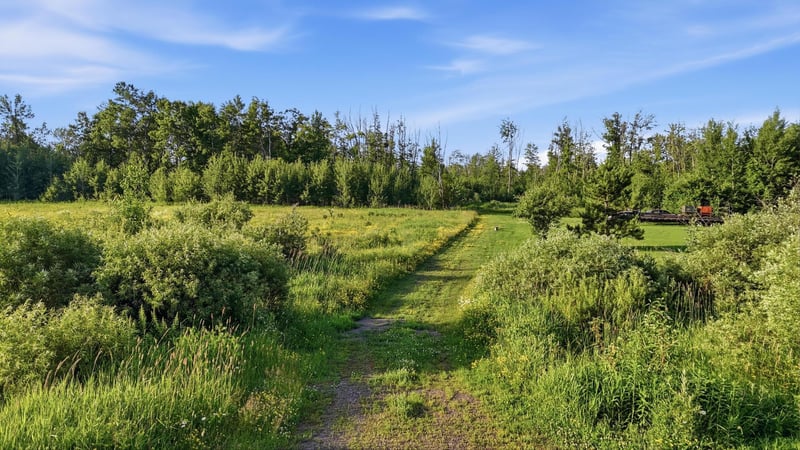 TBD Florence Dr, Moose Lake, MN 55767